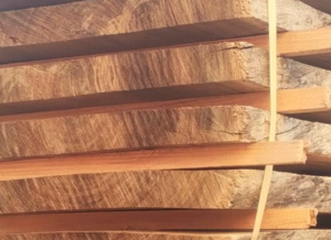 Publication de l’étude stratégique des acteurs et flux de la filière forêt-bois réunionnaise